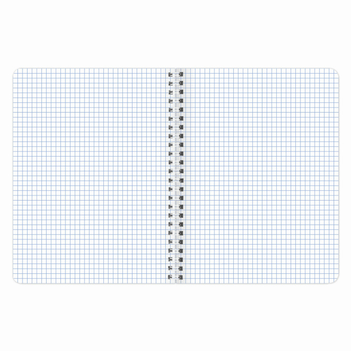 Дәптер жинағы 4 дана, A5, 96 л, BRAUBERG тарақ, тор, жылтыр лак, "Insight", 404404