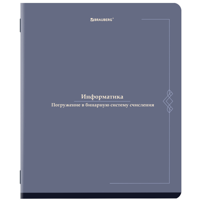 Тетрадь предметная VINTAGE 48 л., SoftTouch, ИНФОРМАТИКА, клетка, подсказ, BRAUBERG, 405154